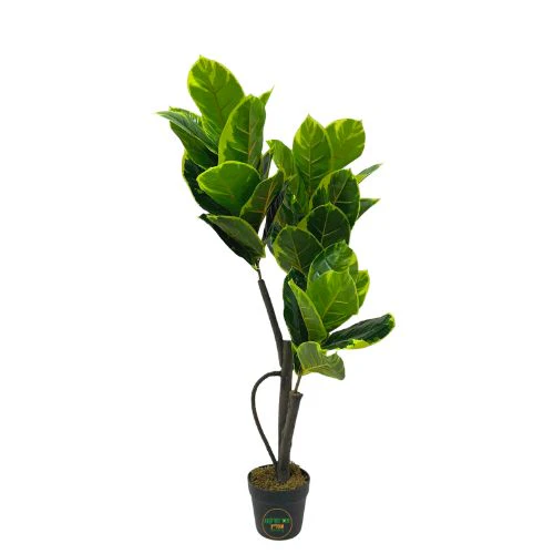 תמונה ממוזערת 1