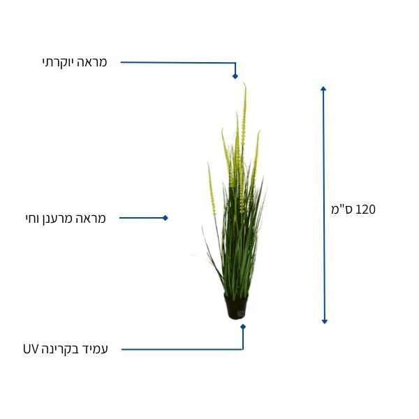 תמונה ממוזערת 2