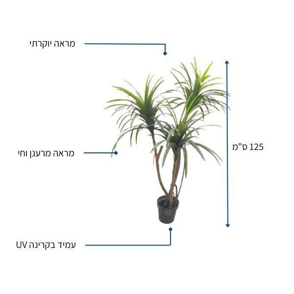 תמונה ממוזערת 2