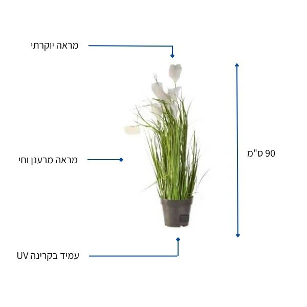 תמונה ממוזערת 2