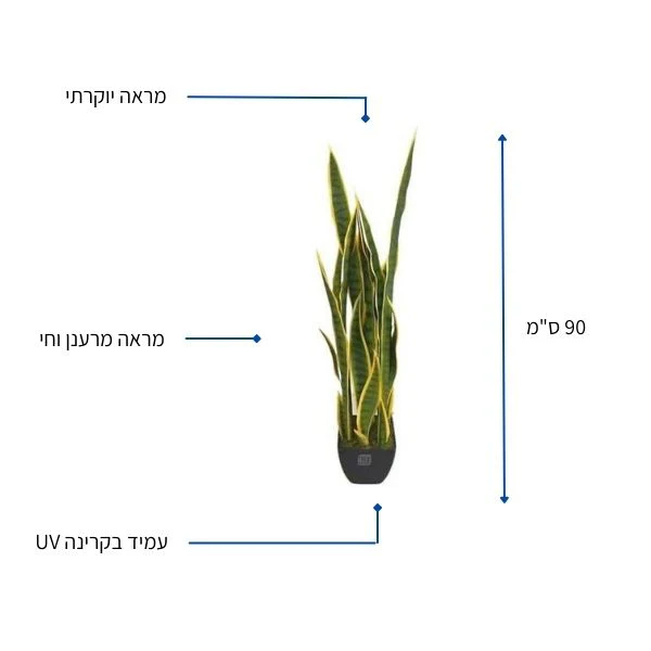 תמונה ממוזערת 2