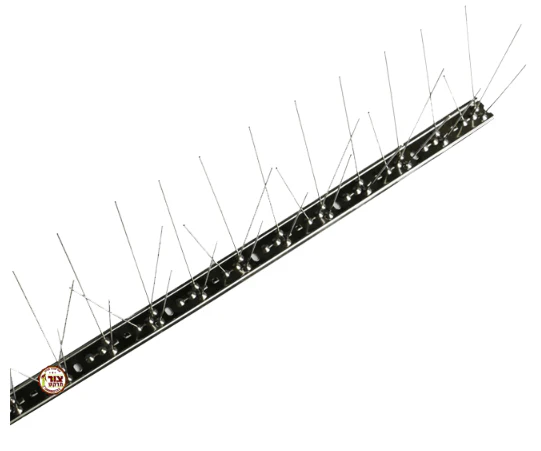 תמונה ממוזערת 2