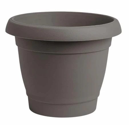 תמונה ממוזערת 2