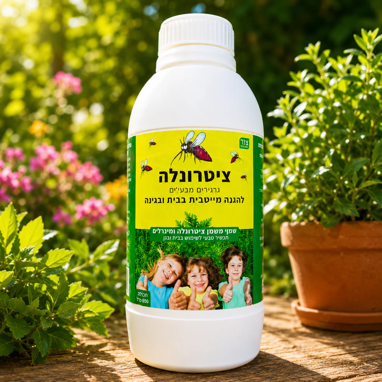 תמונה ממוזערת 2