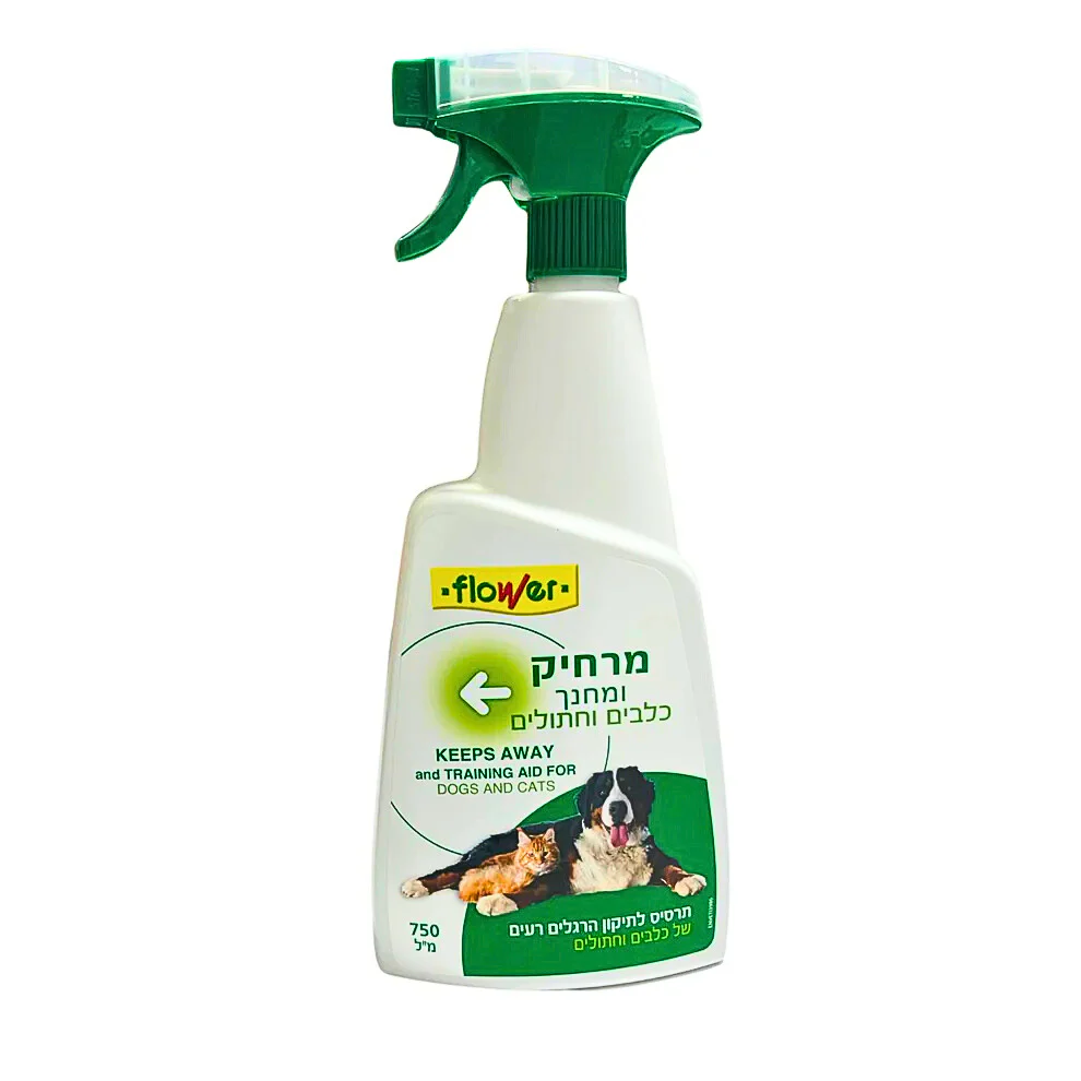 תמונה ממוזערת 1