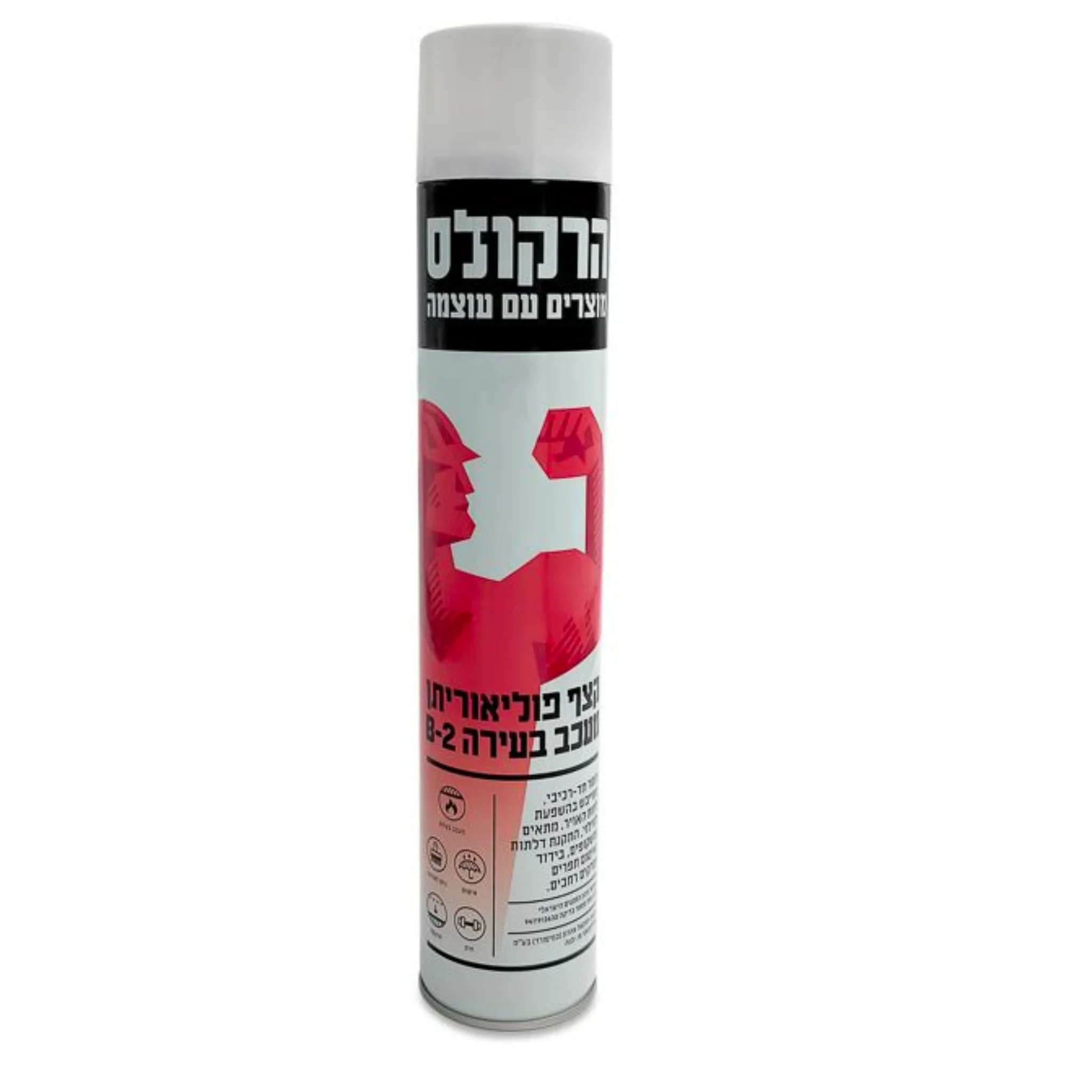 תמונה ממוזערת 1