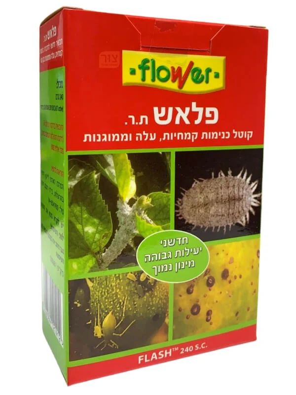 תמונה ממוזערת 1