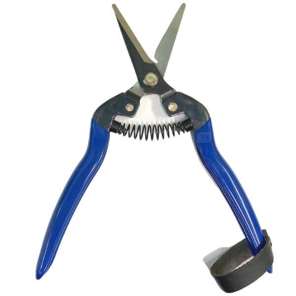 תמונה ממוזערת 1