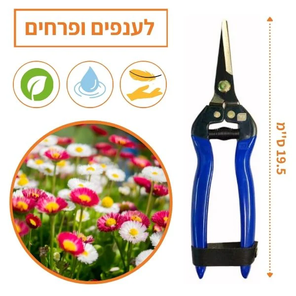 תמונה ממוזערת 2
