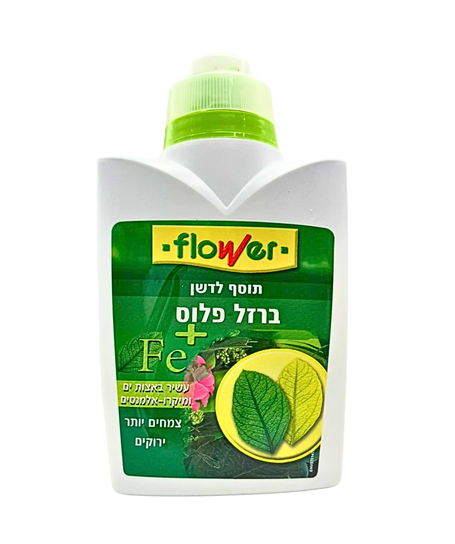 תמונה ממוזערת 1