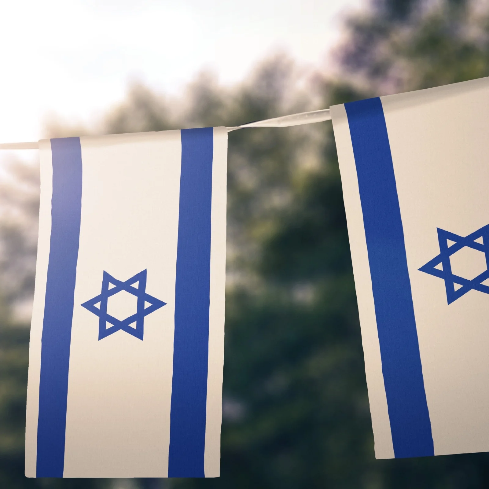 תמונה ממוזערת 1