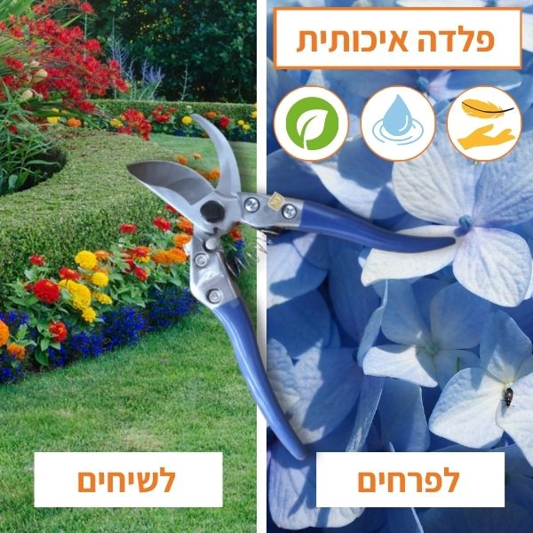 תמונה ממוזערת 2