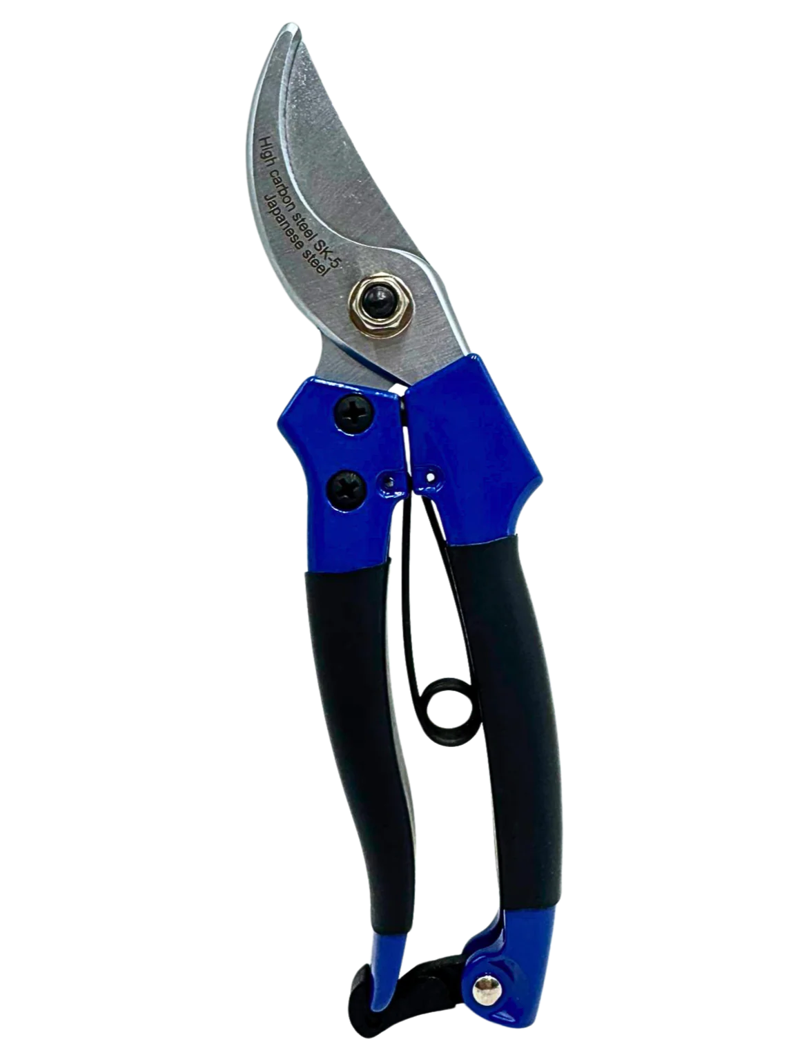 תמונה ממוזערת 1