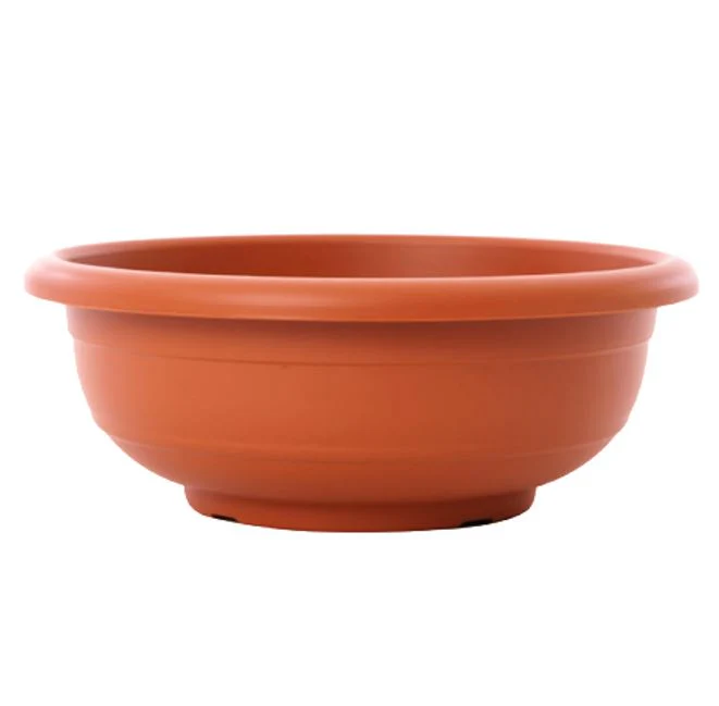 תמונה ממוזערת 1