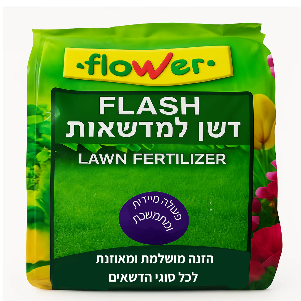 תמונה ממוזערת 1