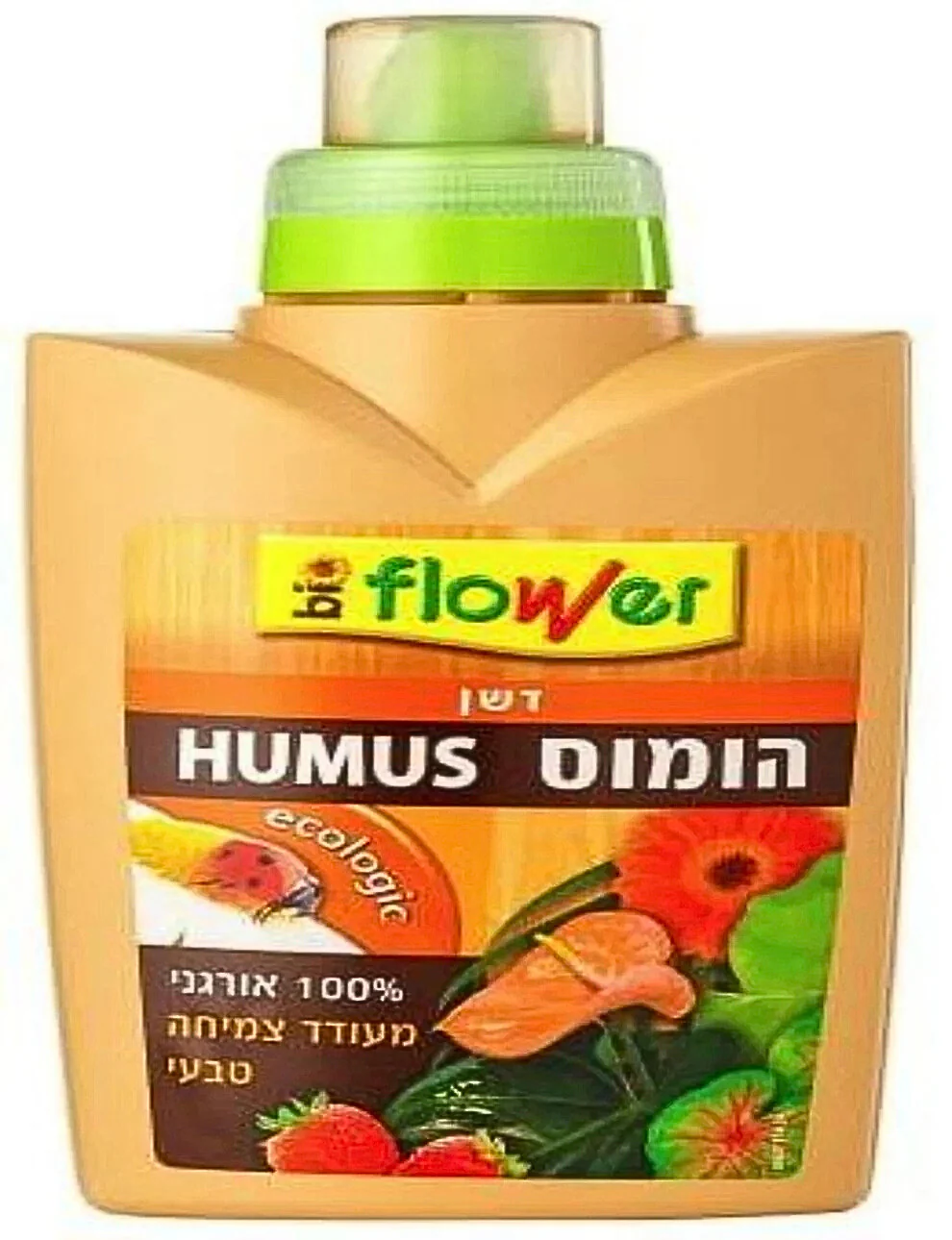 תמונה ממוזערת 1