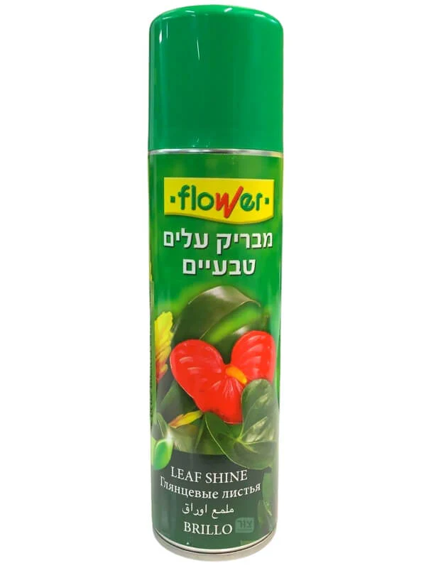 תמונה ממוזערת 1