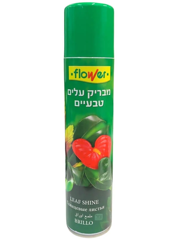 תמונה ממוזערת 1