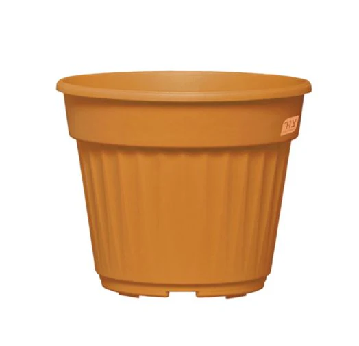 תמונה ממוזערת 1