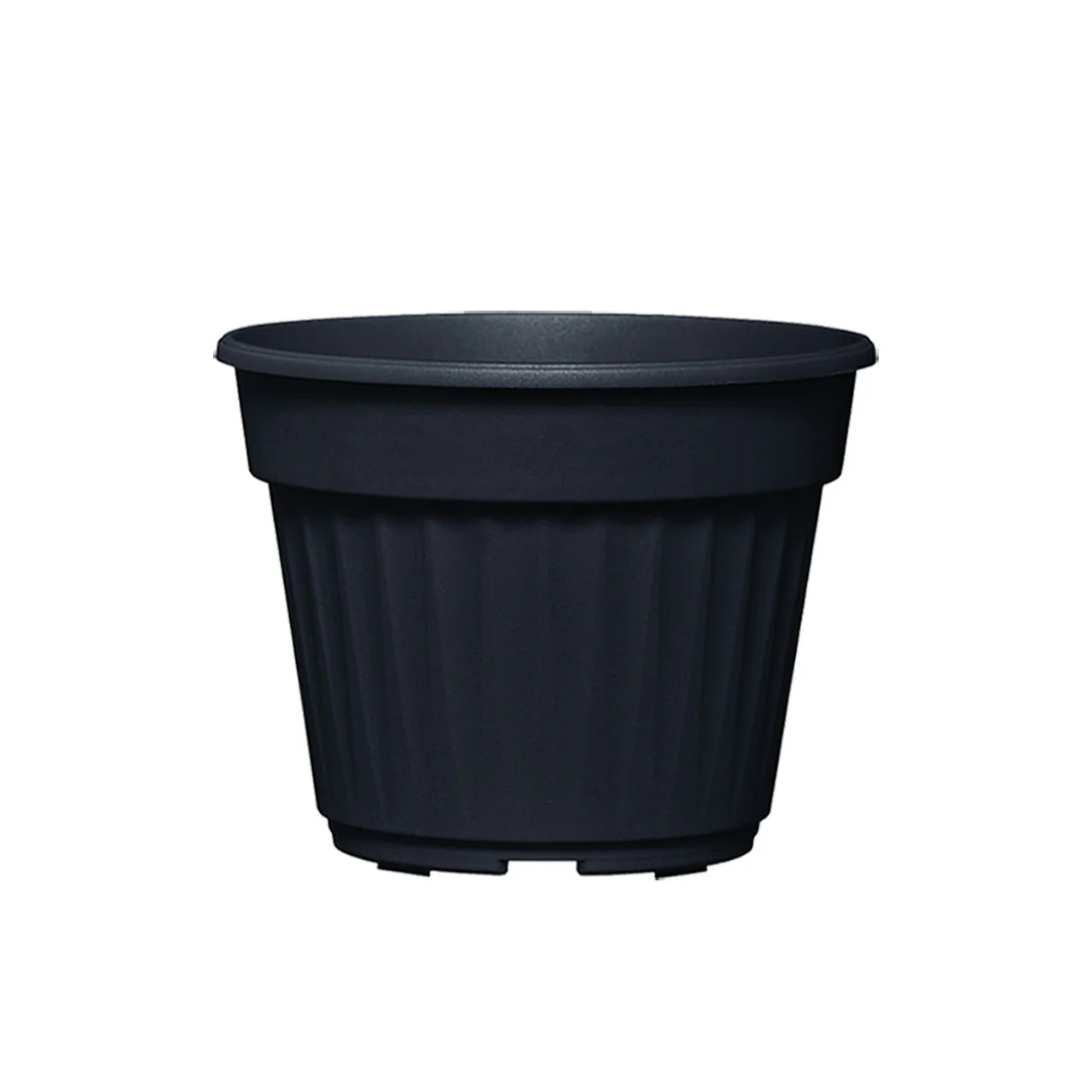 תמונה ממוזערת 1