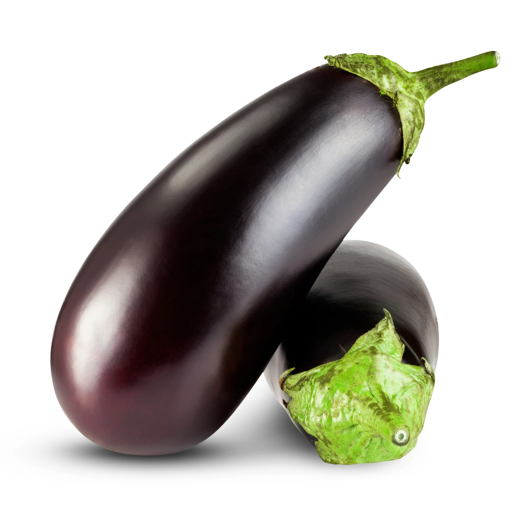 תמונה ממוזערת 1