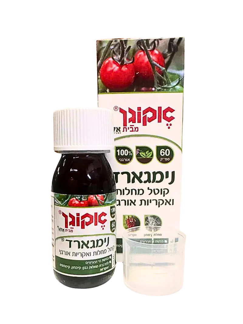 תמונה ממוזערת 1