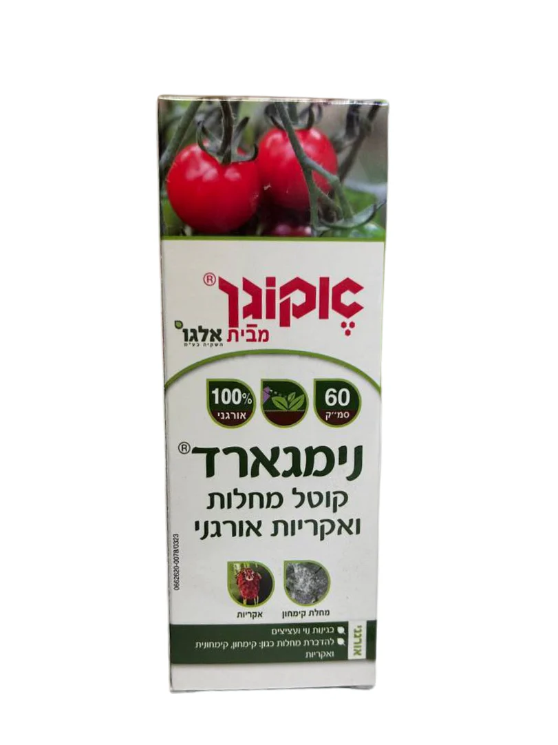 תמונה ממוזערת 2