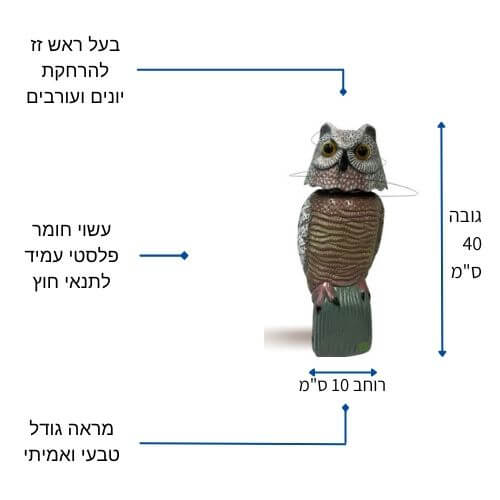 תמונה ממוזערת 2