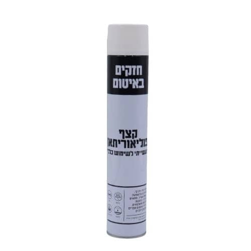 תמונה ממוזערת 1