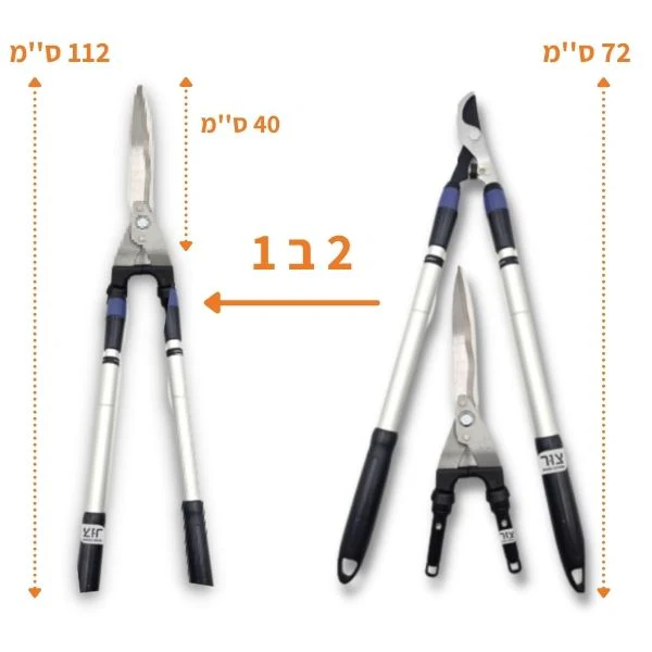 תמונה ממוזערת 2
