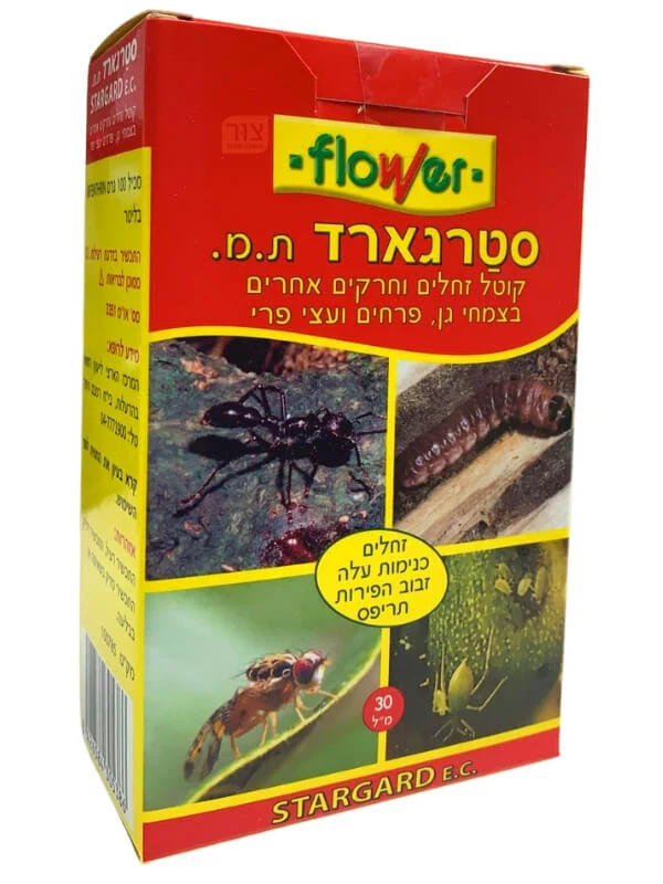 תמונה ממוזערת 1