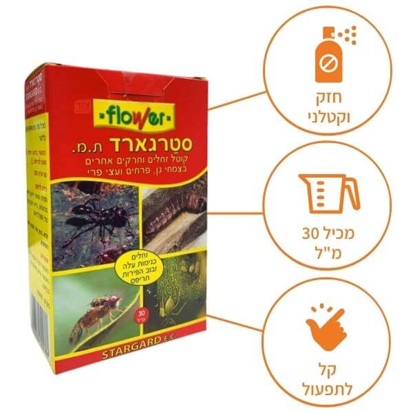 תמונה ממוזערת 2