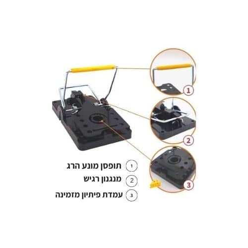 תמונה ממוזערת 2