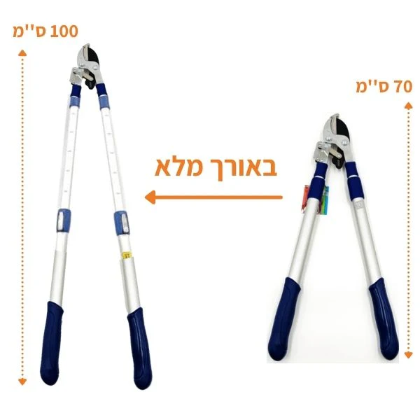 תמונה ממוזערת 2