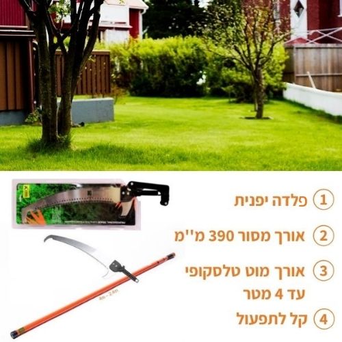 תמונה ממוזערת 2