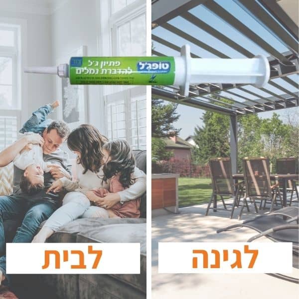 תמונה ממוזערת 2